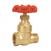 Hallmark Brass Gate Valve 20mm M/F